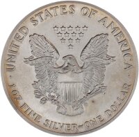 American Eagle 1 Dollar div. Jahre 1 oz Silber