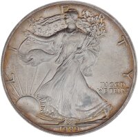American Eagle 1 Dollar div. Jahre 1 oz Silber