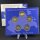 Deutschland Gedenkmünzenset 2 Euro 2007 A,D,F,G,J Mecklenburg-Vorpommern, Schloss Schwerin Spiegelglanz